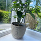 Be Water pot in flecked grey, handmade ceramics